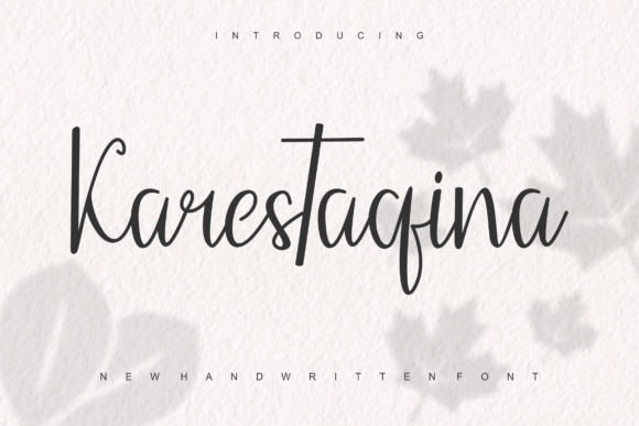 Elevate Your Web Design with Karestaqina Font