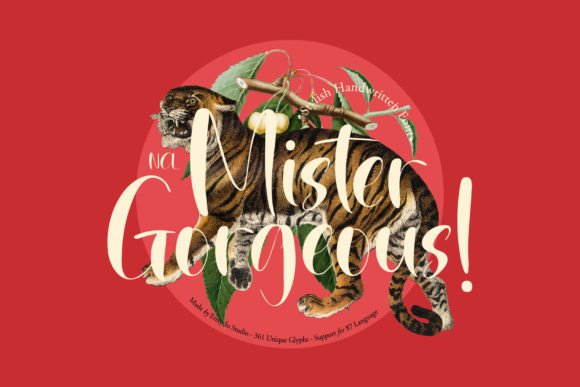 Transform Your Brand with Mister Gorgeous Font