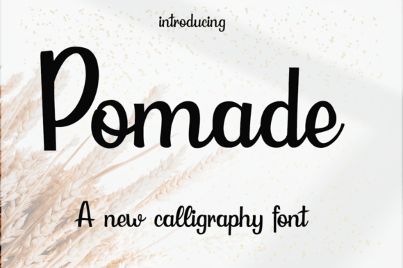 Transform Your Brand with Pomade: A Versatile Script Font